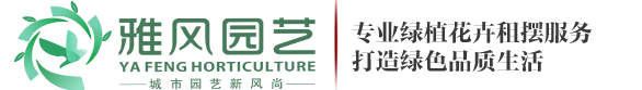 西安綠植租擺